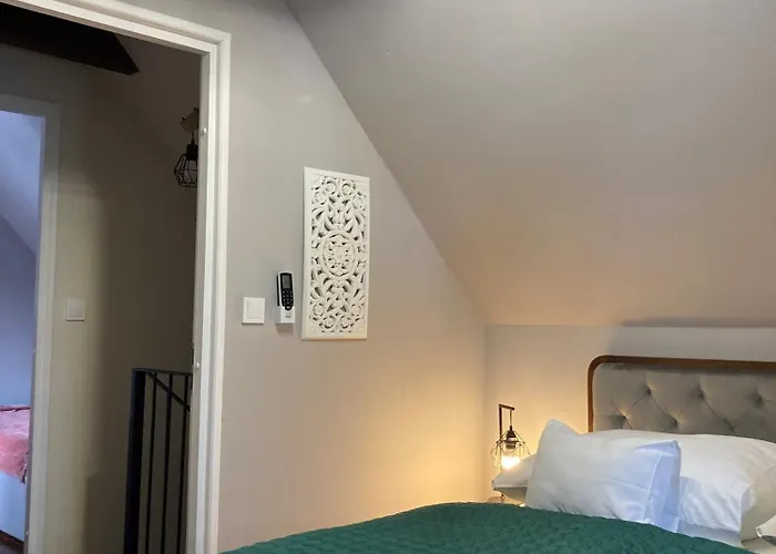 アパートホテル Zsoka Fogadoja 4*